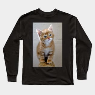 I iz all grown up mamma Long Sleeve T-Shirt